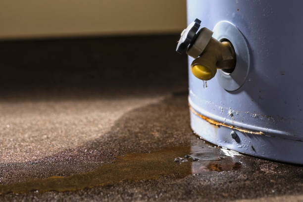 Best 24-hour water damage restoration  in Harrisburg, NC