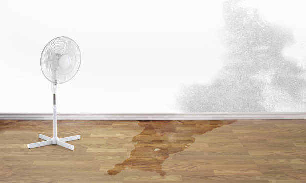 Best Flooded house restoration  in Harrisburg, NC