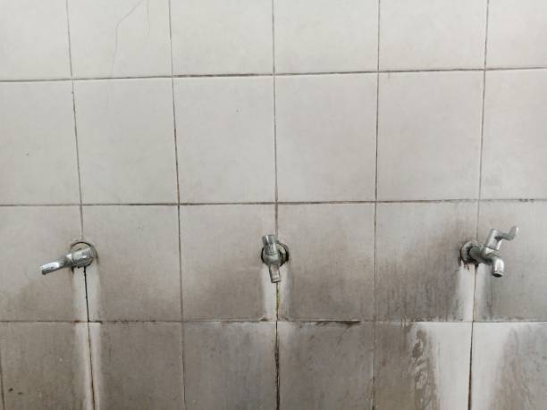 Best Emergency water extraction  in Harrisburg, NC
