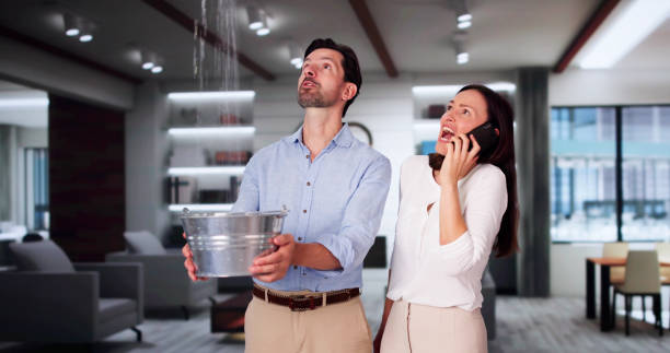 Best Flood damage cleanup  in Harrisburg, NC
