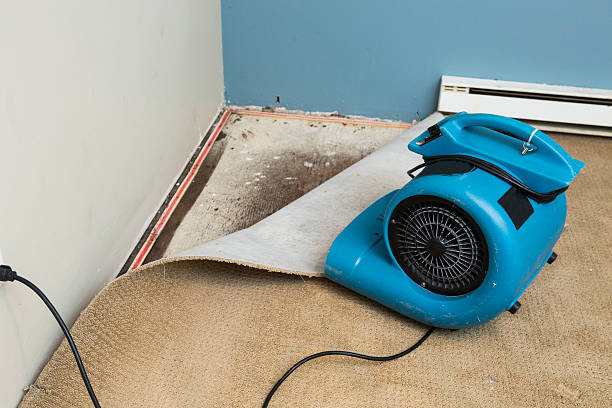 Professional Water damage restoration in Harrisburg, NC
